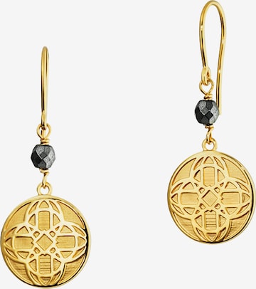 caï Earrings 'C1703E/90/E1/' in Gold: front