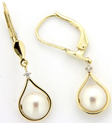 VIVANCE Earrings in Gold: front