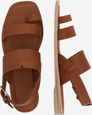 TOMS T-Bar Sandals 'Freya' in Brown