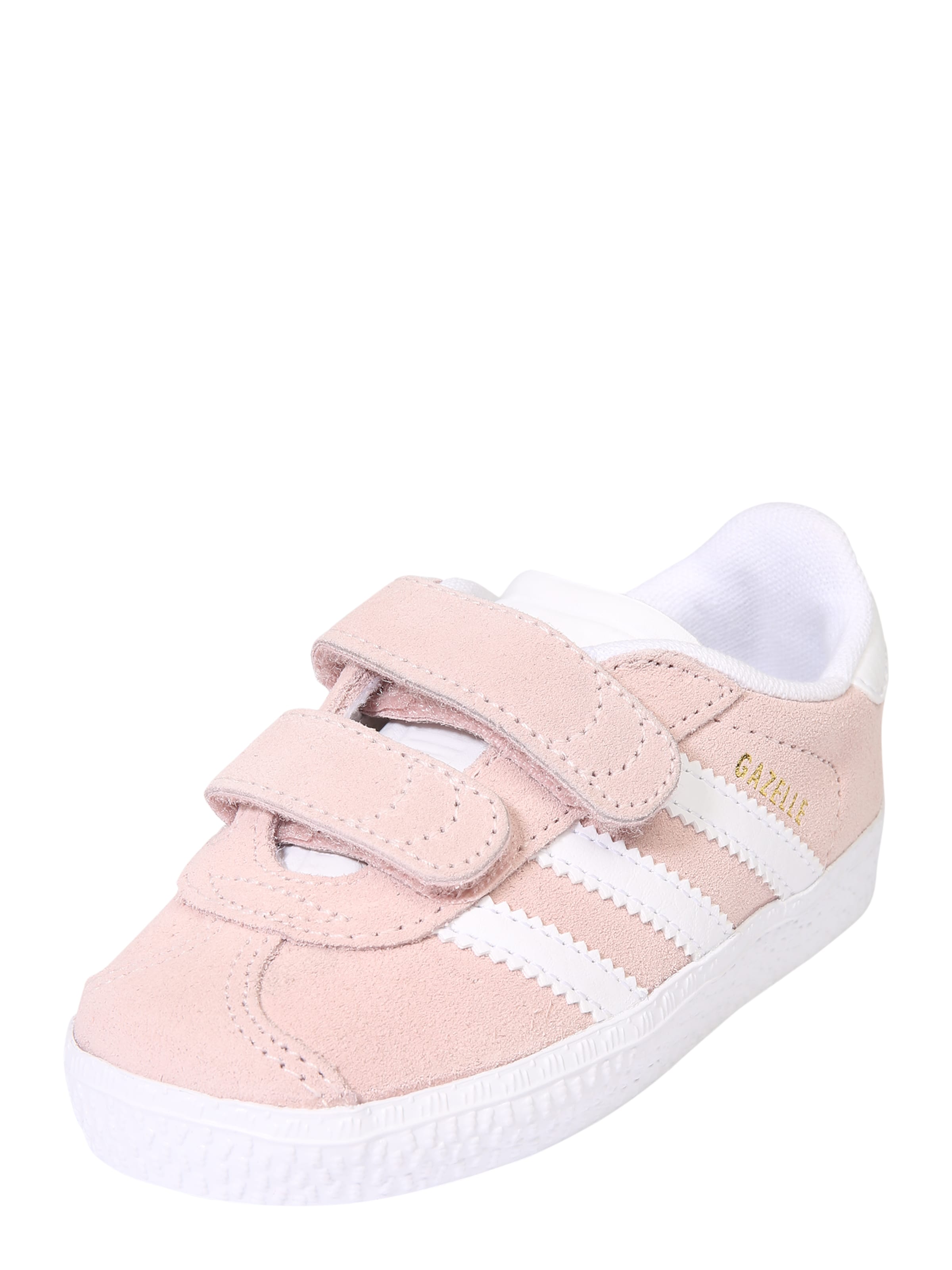 gazelle rosa