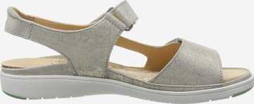 Ganter Sandals in Grey