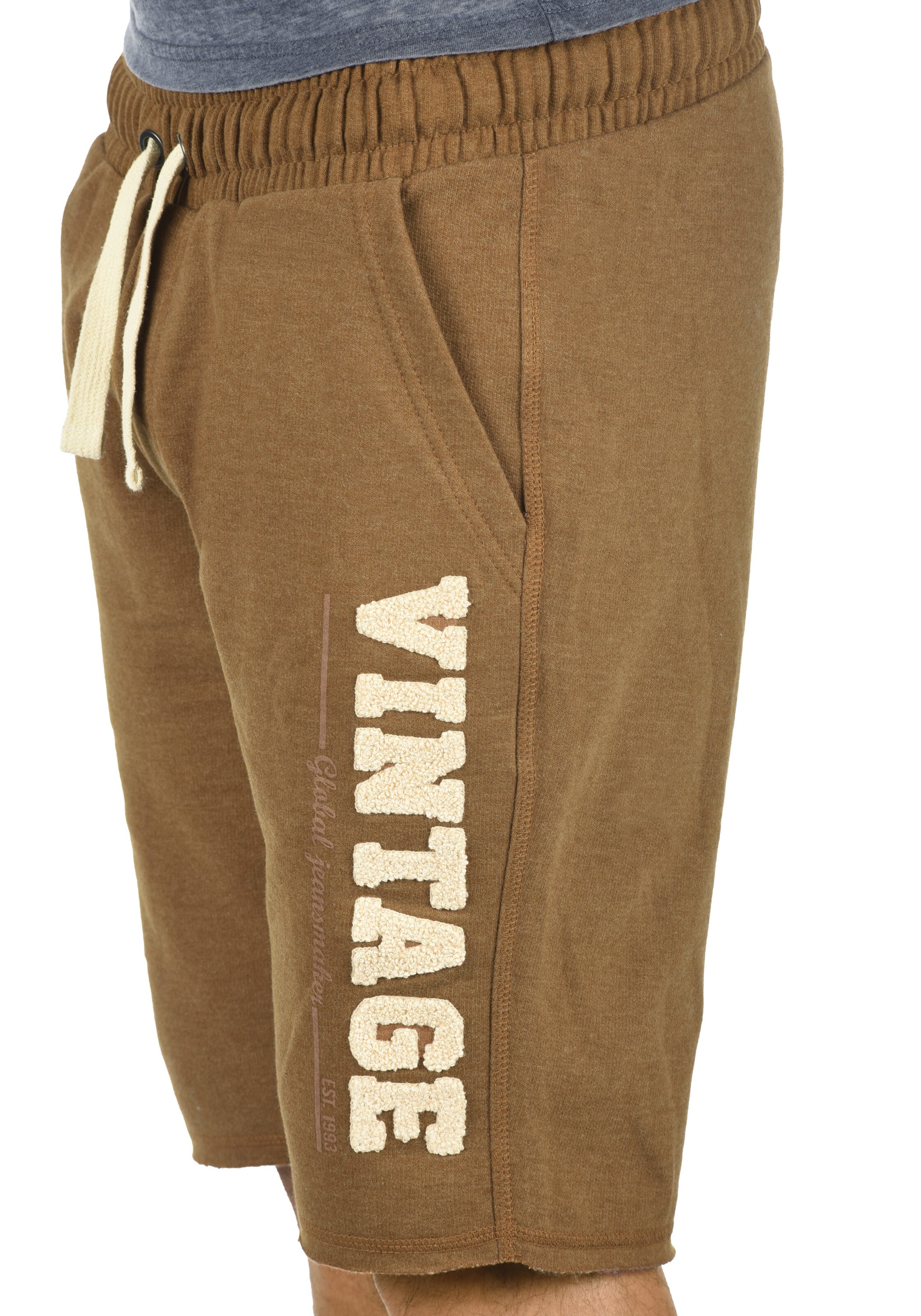 BLEND Regular Shorts in Braun