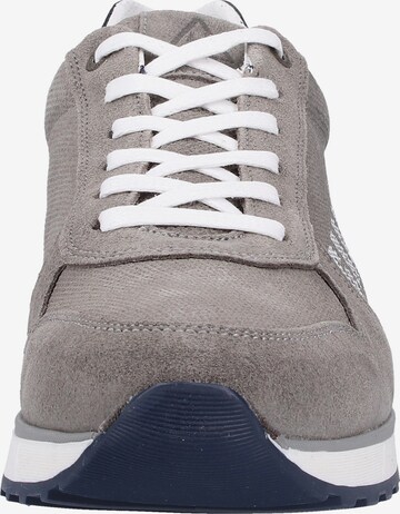 Gaastra Sneaker 'Kai' in Grau