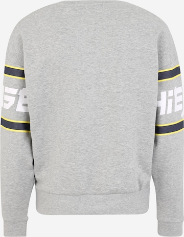 Sweat de sport CHIEMSEE en gris : derrière