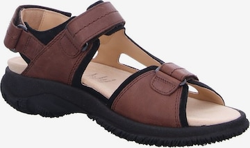 Ganter Hiking Sandals in Brown