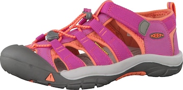 KEEN Sandale Newport H2 in Pink: predná strana