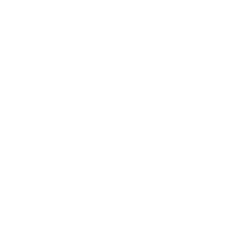 Calvin Klein Sport Logo