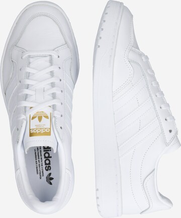 Baskets basses ADIDAS ORIGINALS en blanc