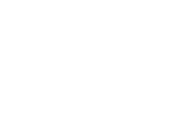 Sarlini Logo