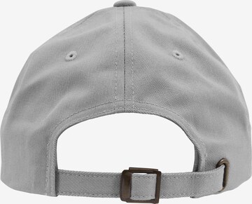 Flexfit Cap in Silber