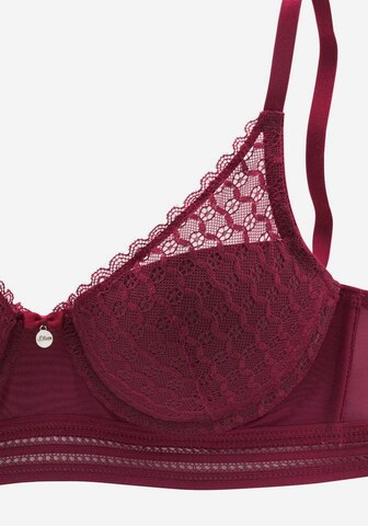 s.Oliver Push-up BH in Rot