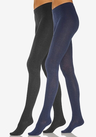 LAVANA Tights in Blue: front