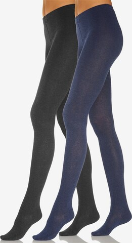 ROGO Tights in Blue: front