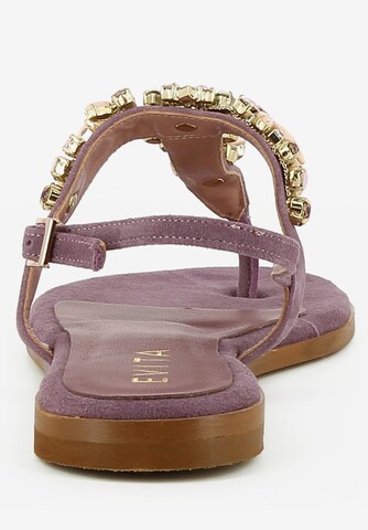 EVITA T-Bar Sandals 'OLIMPIA' in Purple