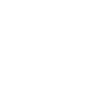 Viola Castellani Logo