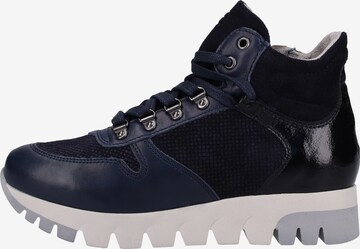 TAMARIS Sneaker high in Blau