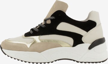 BULLBOXER Sneaker in Mischfarben