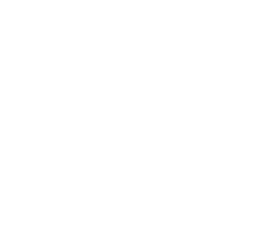 Secret Stones Logo