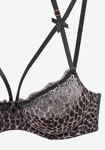 LASCANA Balconette Bra 'Padded' in Black