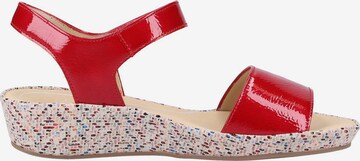 ARA Sandals in Red