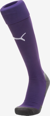 PUMA Soccer Socks 'Team Liga' in Purple: front