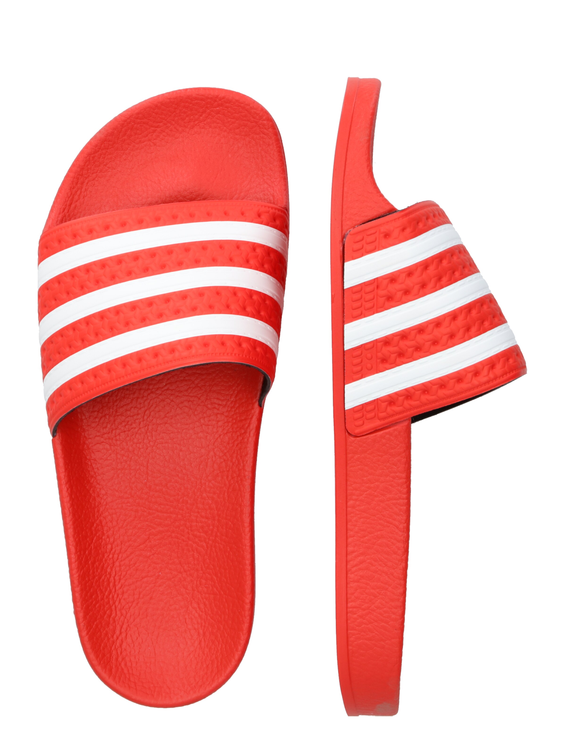 adiletten rot