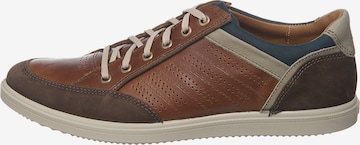 JOMOS Sneakers in Brown: front