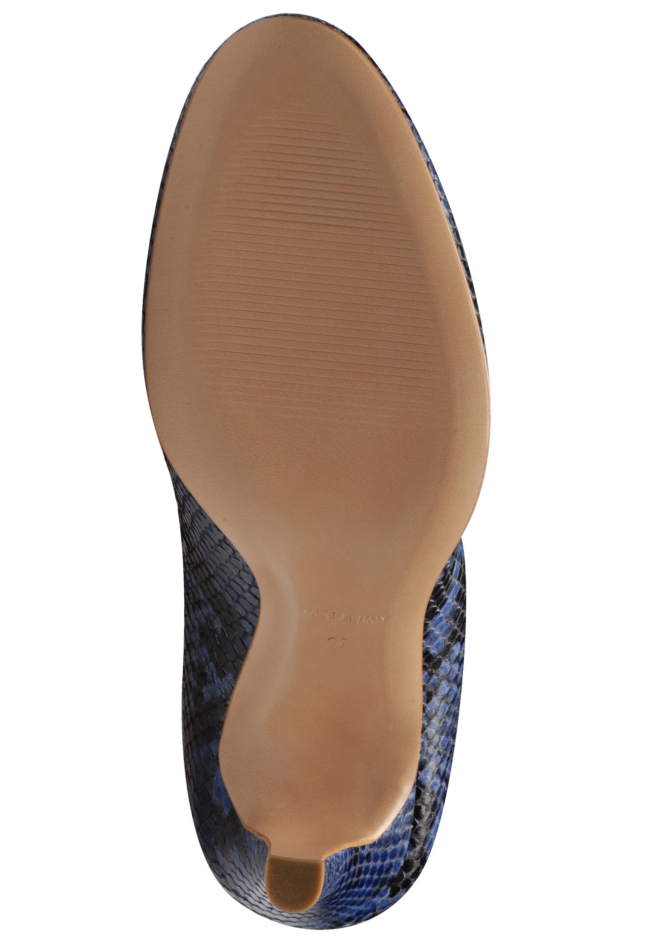 EVITA Pumps in Blauw