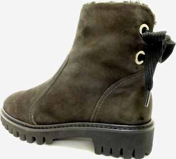 Paul Green Ankle Boots in Green