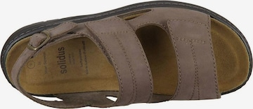 SOLIDUS Sandals in Brown
