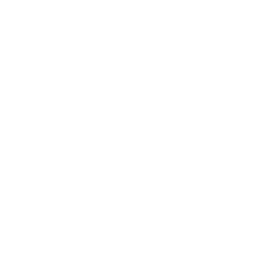 JAY-PI Logo