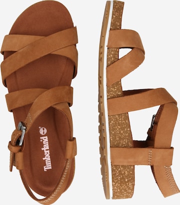 TIMBERLAND Strap sandal 'Malibu Waves' in Brown