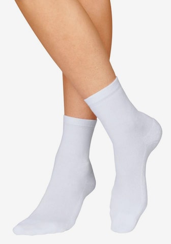 H.I.S Socks in White: front