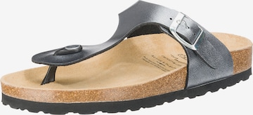 LICO T-Bar Sandals in Grey: front