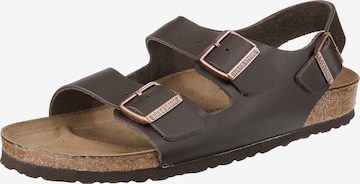 BIRKENSTOCK Sandal 'Milano' i brun: framsida