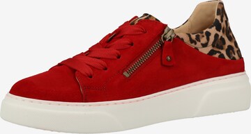 GABOR Sneakers laag in Rood: voorkant