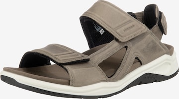 ECCO Hiking Sandals 'X-trinsic' in Grey: front