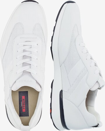 LLOYD Sneakers 'Alfonso' in White