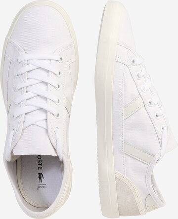 Baskets basses 'Sideline' LACOSTE en blanc : devant