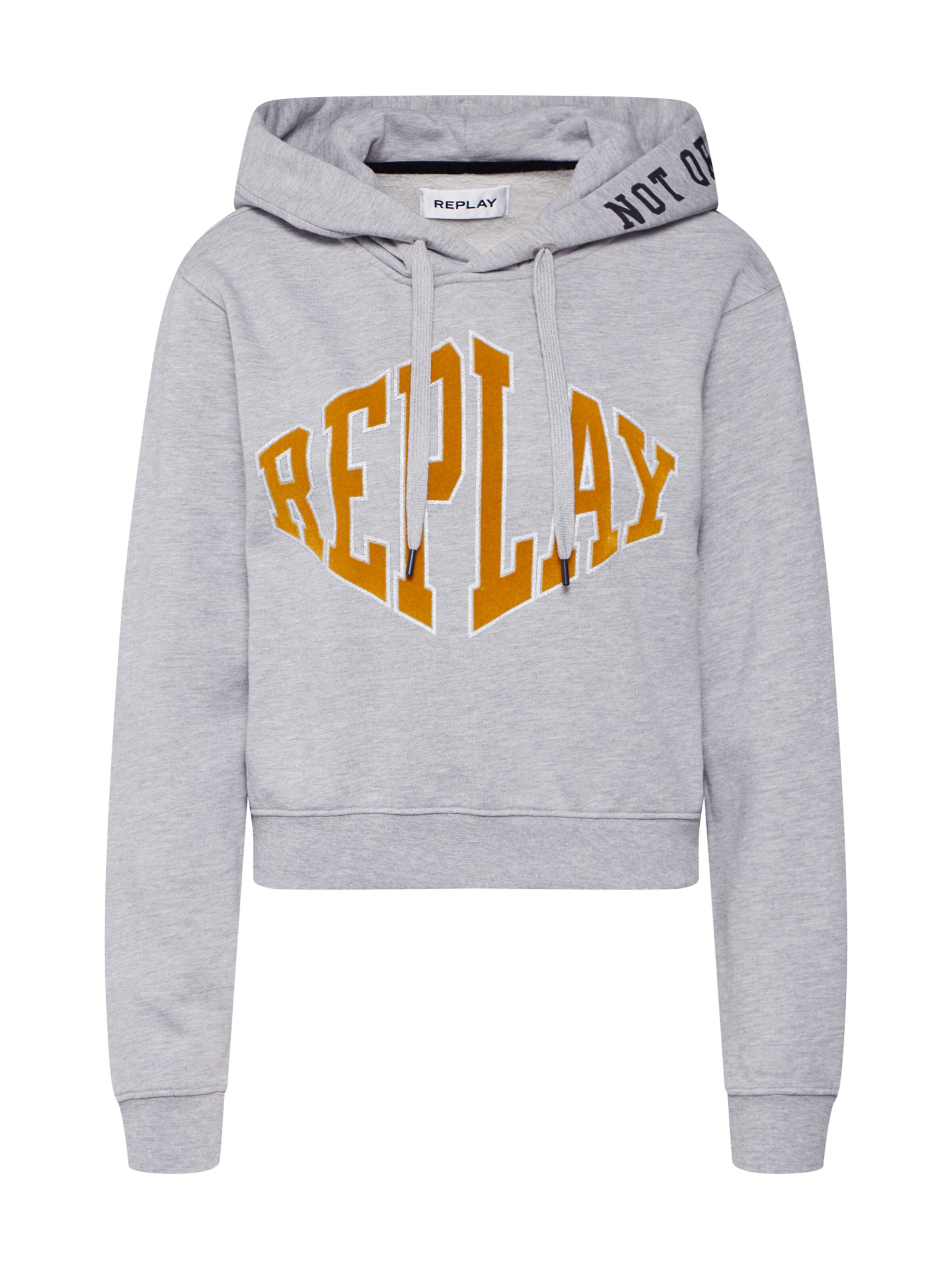 REPLAY - Sweatshirt in de kleur Grijs