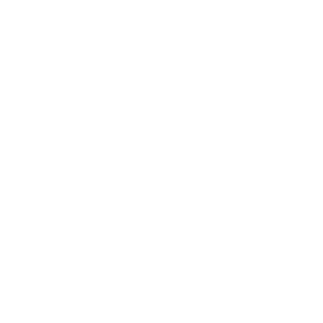 Dxnmxrk Logo