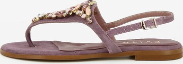 EVITA Teenslipper 'OLIMPIA' in Lila