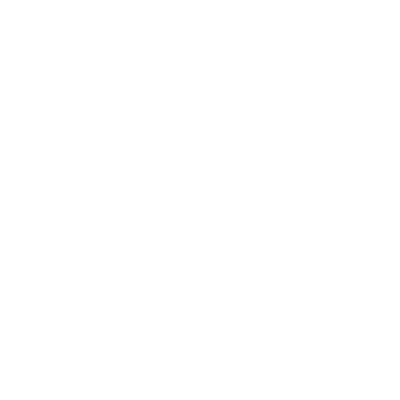 Carré Chic Logo