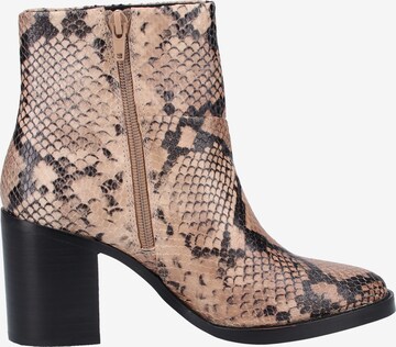 STEVE MADDEN Ankle Boots in Beige