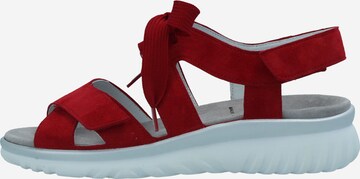 SEMLER Sandals in Red