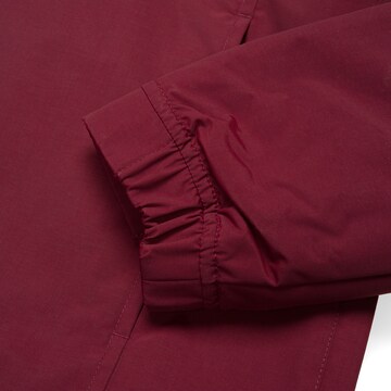 Carhartt WIP Функциональная куртка 'Nimbus Winter' в Красный