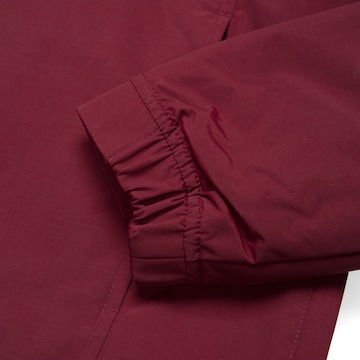 Carhartt WIP Windbreaker 'Nimbus Winter' in Rot