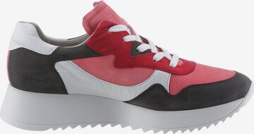 Paul Green Sneakers laag in Gemengde kleuren