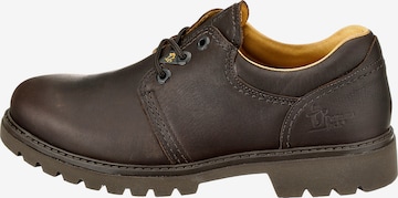 PANAMA JACK Lace-Up Shoes 'Panama' in Brown