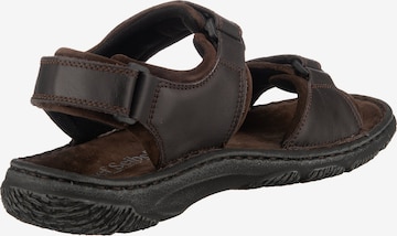 JOSEF SEIBEL Sandals 'Carlo 11' in Brown